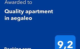 Quality Apartment In Aegaleo